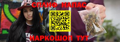 гидра Кудрово